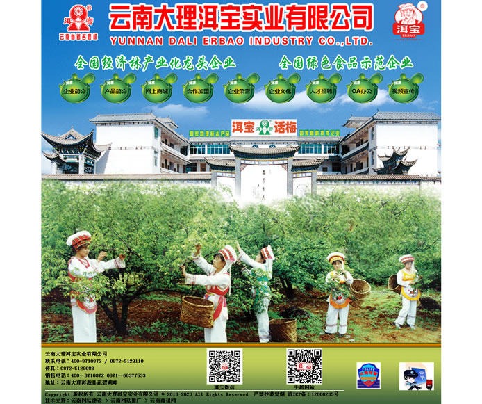 云南網(wǎng)站建設(shè)、昆明網(wǎng)站建設(shè)、云南網(wǎng)站制作、昆明網(wǎng)站制作、云南微網(wǎng)站制作、云南網(wǎng)站優(yōu)化推廣、大理網(wǎng)站建設(shè)、麗江網(wǎng)站建設(shè)、大理網(wǎng)站制作、麗江網(wǎng)站制作、保山網(wǎng)站建設(shè)、德宏網(wǎng)站建設(shè)、文山網(wǎng)站建設(shè)、楚雄網(wǎng)站建設(shè)、紅河網(wǎng)站建設(shè)、云南政府網(wǎng)站建設(shè)、普洱網(wǎng)站建設(shè)